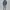 Tailor Studio Authentic Hoodie photo 1