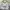Adidas Jersey Real madrid Home 2022/23 photo 5