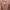 Outer photo 1