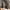 Louis quatorze sling handbag photo 4