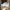 Asics Streetwear Sportswear Sneakers Pria gray photo 1