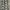 BERSHKA STRAIGHT LEG TROUSER photo 1