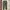 Muji japan chinos pant og olive green army photo 3