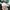 Champion "C" Logo Emboidered Hat photo 6