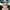 BRATSON - logo box shoft 5 Panel Hat  photo 3
