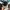 BRATSON - logo box shoft 5 Panel Hat  photo 6