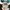 BRATSON - logo box shoft 5 Panel Hat  photo 2