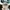 BRATSON - Logo Box Shoft 5 Panel Hat 