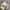 Jalin osfa belt cream  photo 2