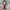 Belt red canvas  photo 1