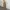 Karakiri - Jolie Pants I Wide Leg Trousers Brown| Culotte Pa