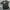 Nike T-shirt Pria gray photo 1