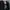 Adida* yeezy  photo 5