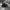 Adida* yeezy  photo 4