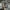 Adida* yeezy  photo 7