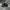 Adida* yeezy  photo 1