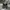Adida* yeezy  photo 2