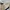 Vision Street Wear Casual Windbreaker Pria tan photo 4