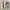 Vision Street Wear Casual Windbreaker Pria tan photo 3