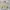 Vision Street Wear Casual Windbreaker Pria tan photo 2