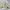 Vision Street Wear Casual Windbreaker Pria tan photo 1