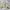 Vision Street Wear Casual Windbreaker Pria Tan