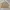 Casual Sweatshirt Pria Tan