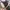 Ransel nike air vintage. Backpack nike vintage photo 6