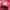 Air Jordan Zion 3 Pink Lotus photo 2