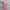 KNIT DRES PINK photo 1