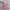 KNIT DRES PINK