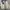 NEW celana panjang kulot highwaist wanita putih broken white photo 3