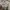 Sweater Nautica Half Zip Semi Turtle Neck photo 5