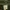 Yohji Yamamoto SS/03 Cargo Pants utility 12 Pocket photo 3