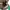 Tempat botol minum starbucks (harga nett)  photo 4