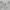 Jaket Windbreaker Colorblocks LA GEAR USA photo 8