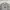 KIRSH Vintage Sweatshirt Pria gray photo 4