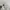 MLB Casual Sweatshirt Pria white gray photo 6