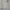 Eddie Bauer Jeans Boot Cut Broken White photo 7