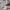 Eddie Bauer Jeans Boot Cut Broken White photo 5