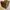Louis Vuitton Monogram Boite Falcons Vanity Cosmetic Trunk photo 1