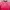 Jersey Korea Player Issue 2020 Original photo 2