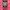 Jersey Korea Player Issue 2020 Original photo 3