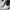 BLACKYAK 343 ARC GORETEX PREMIUM TREKKING SHOES SIZE 43 photo 3