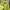 Crewneck Oversized Neon Woman Cn