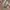 Y2k Fasion ArtWork Wide Leg fit photo 6