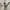 shoulder bag Kate Spade wrn krem photo 7