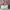 shoulder bag Kate Spade wrn krem photo 1