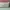 shoulder bag Kate Spade wrn krem photo 6