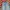 Super Blank Blue Pants Wide Leg photo 5
